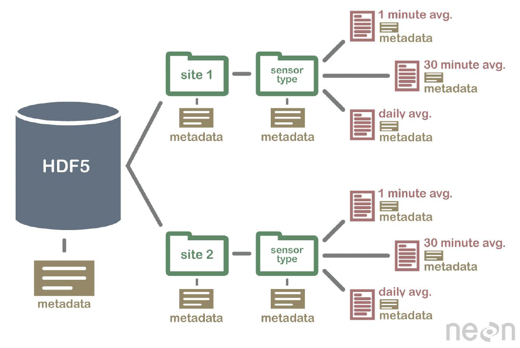 HDF5 File Structure